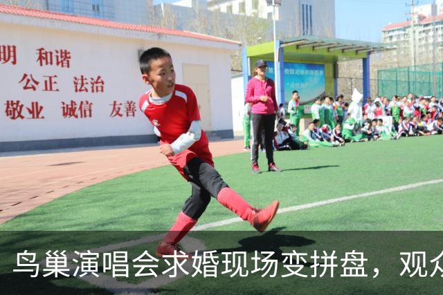 鸟巢演唱会求婚现场变拼盘，观众怒吼变讲故事！